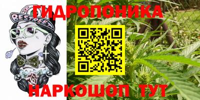 прущая мука Гусев