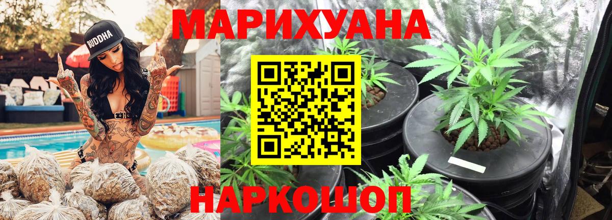 Канабис семена Камышлов